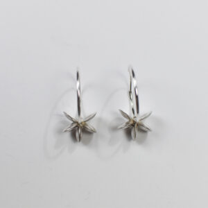 boucles d'oreilles lentilles doubles